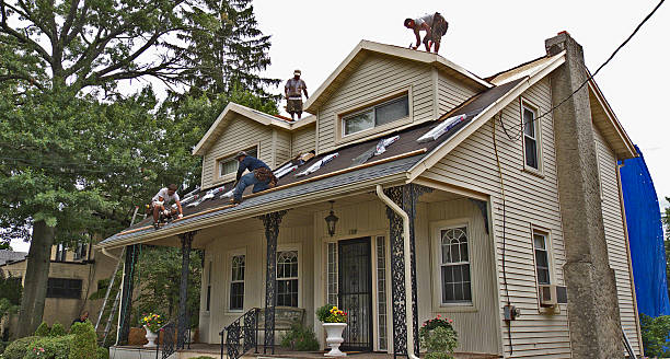 Professional Roofing Contractor in Natalia, TX